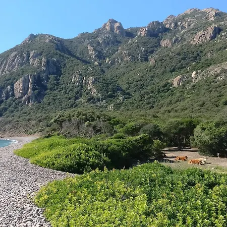 Daire Bilocale La Terrazza Sul Centro Bari Sardo