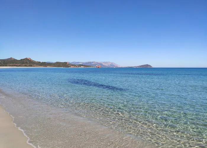 Bilocale La Terrazza Sul Centro Appartement *
