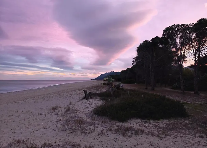 Bilocale La Terrazza Sul Centro *