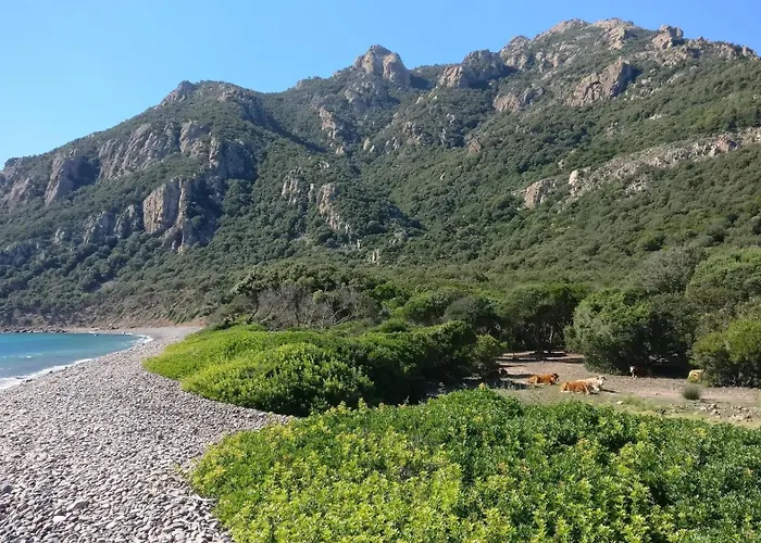 Appartement Bilocale La Terrazza Sul Centro Bari Sardo