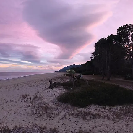 Bilocale La Terrazza Sul Centro *