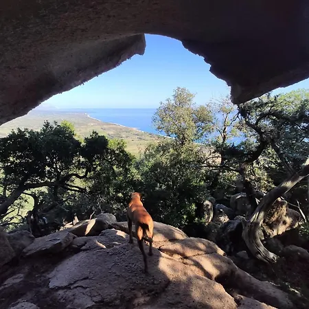 Bilocale La Terrazza Sul Centro * Bari Sardo