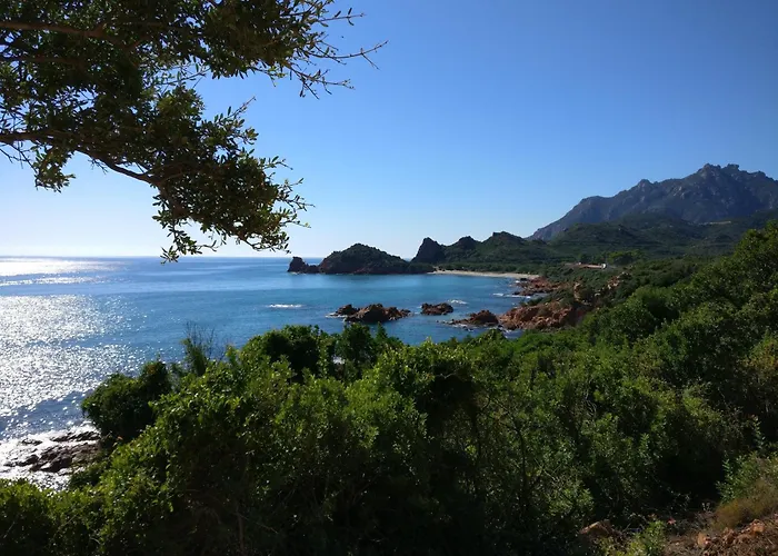 Bilocale La Terrazza Sul Centro *