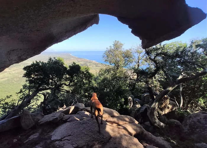 Bilocale La Terrazza Sul Centro * Bari Sardo